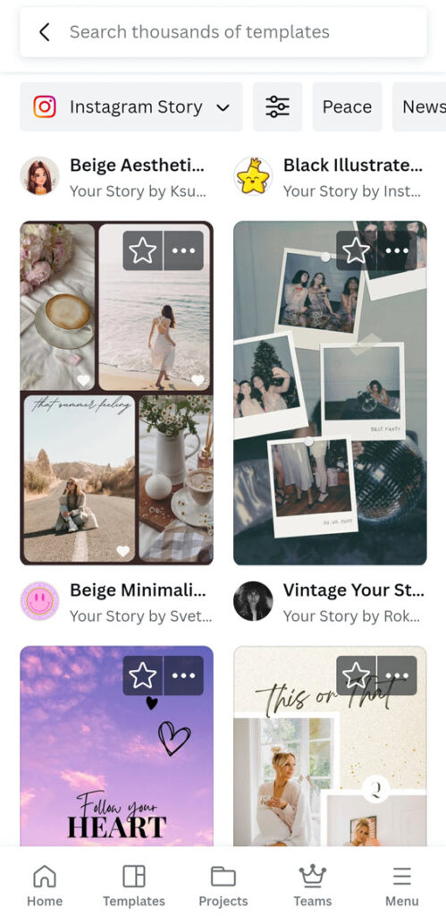 Canva Instagram story template